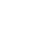 icon white security